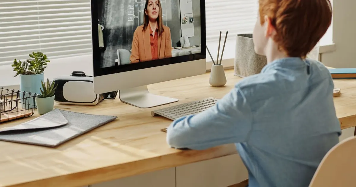 A student in an online learning session